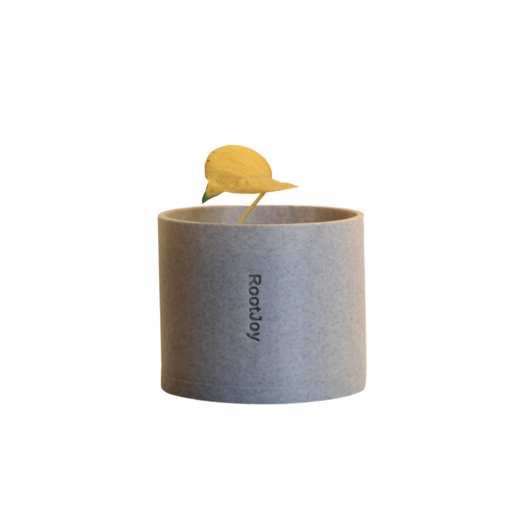 RootJoy Small Planter Concrete - Concrete Grey BG