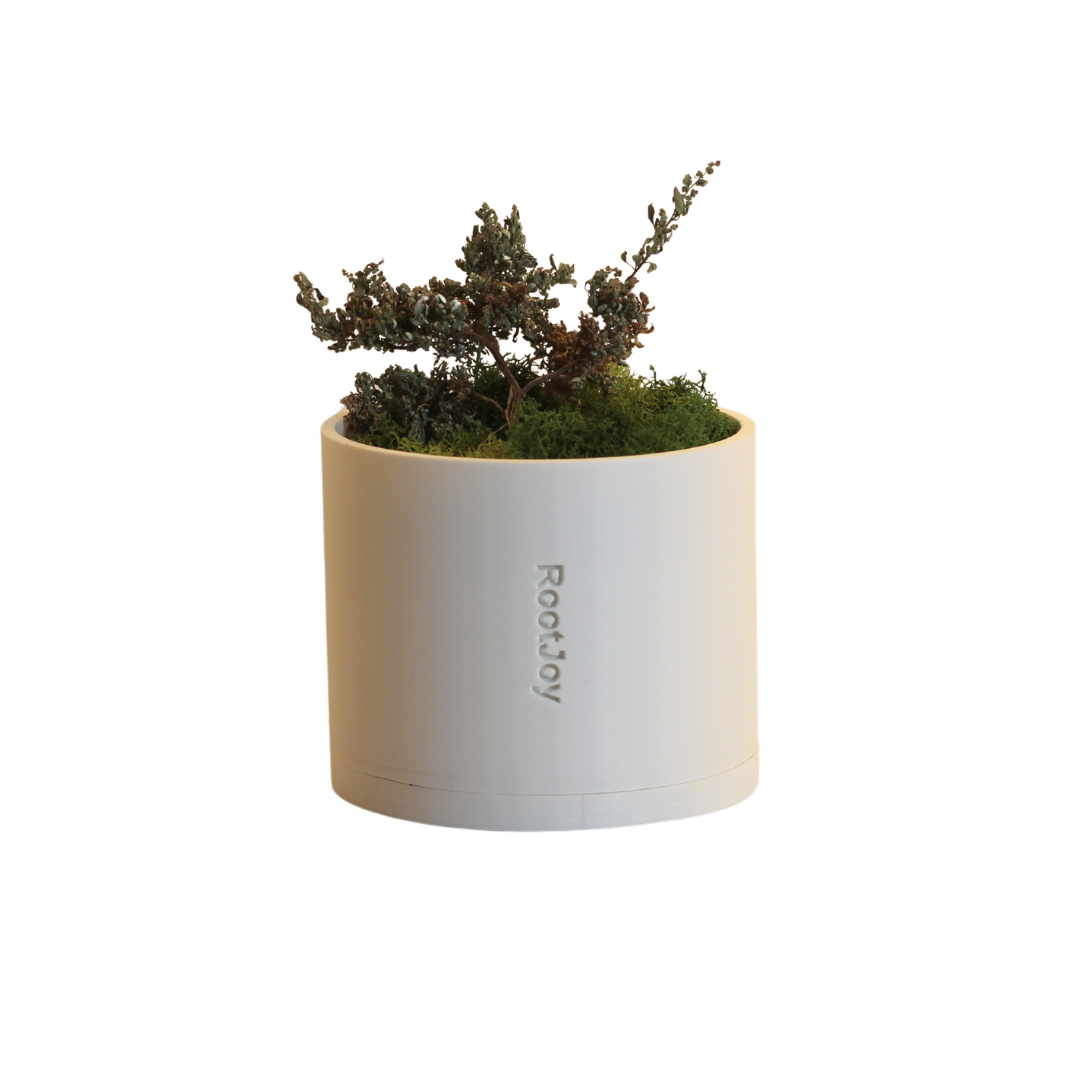 RootJoy Small Planter White - WHite BG