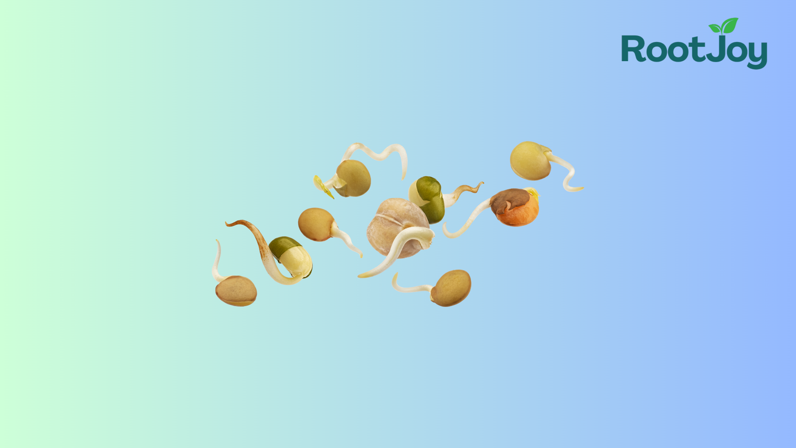 The Ultimate Guide to Germinating Seeds