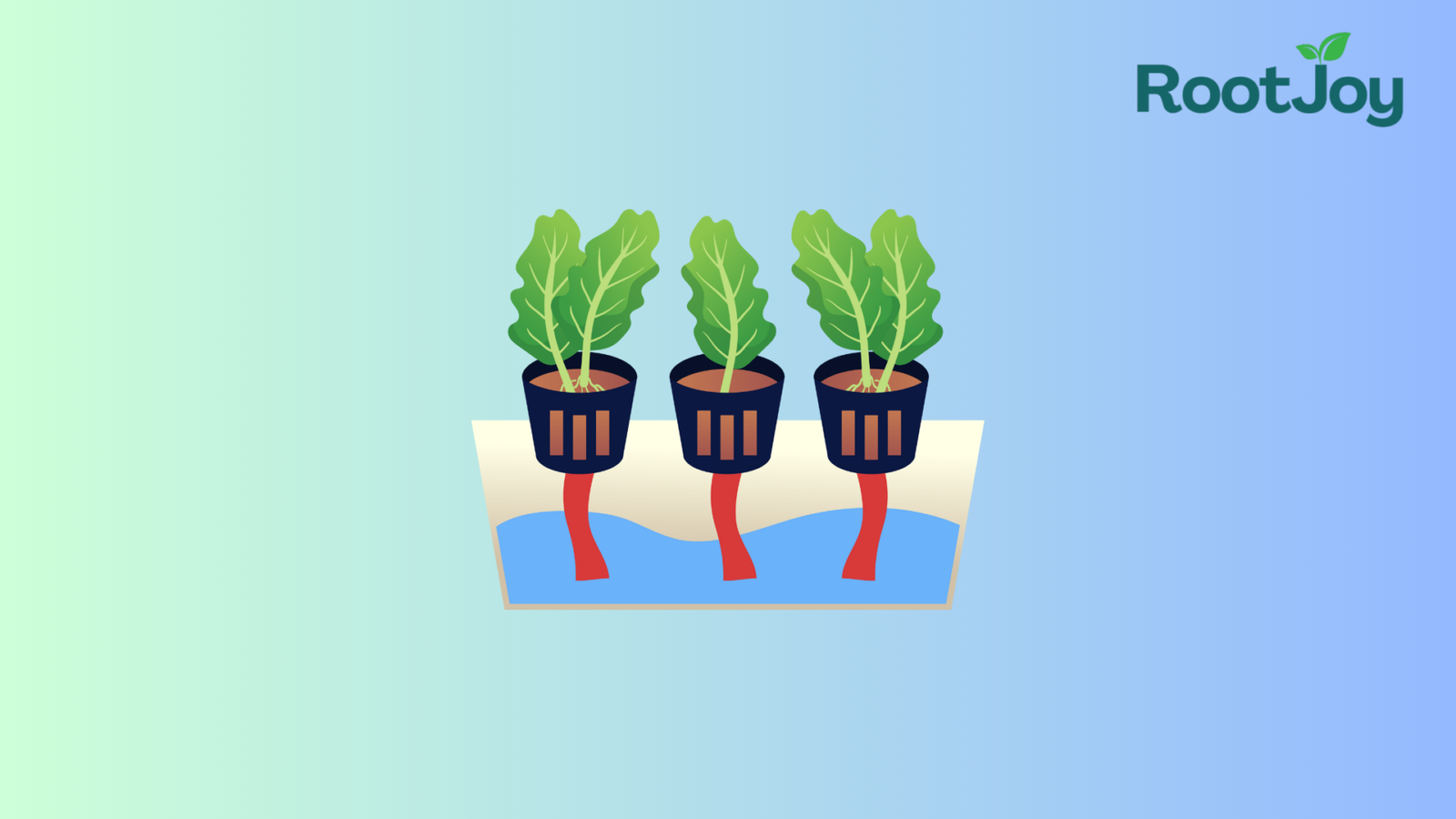 Can You Grow Tomatoes Hydroponically?