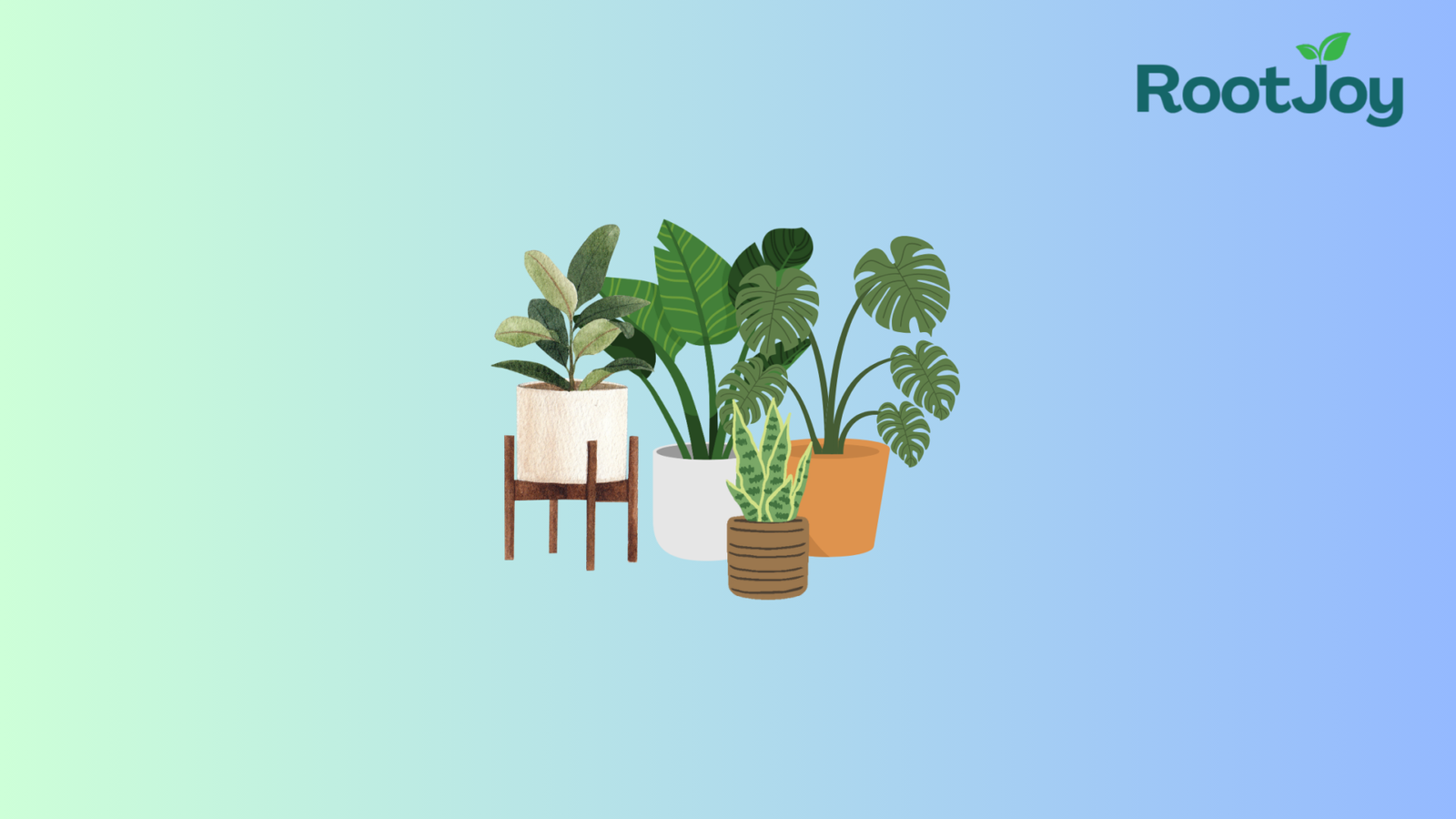 What Are Plants? Understanding the Life at the Root of Our Ecosystem